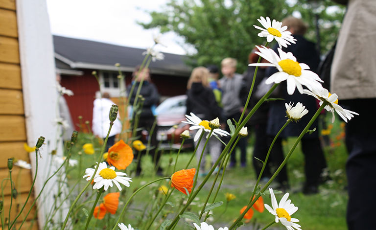 Pihakierros Vuoden talo ja miljöö -teemalla pe 15.7.2022 klo 19.00
