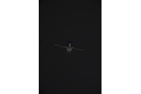 DARK PORTRAITS