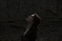 DARK PORTRAITS