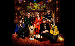 Fox Confession, Iris Kukka