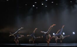 Collectif d’equilibristes: The Ostrich Complex liput