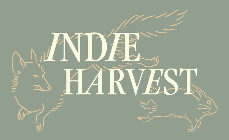 Indie Harvest: Kakkmaddafakka, Pintandwefall & Special Shades Liput