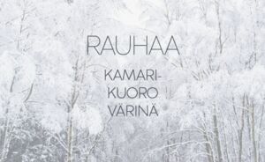 Joulukonsertti Rauhaa, Kallio