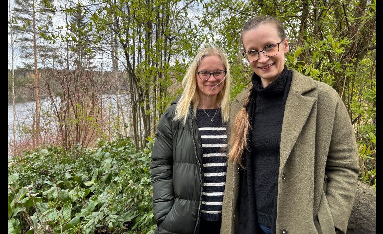 Café Barock: Paluu juurille Liput