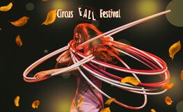 Festivaalipassi liput