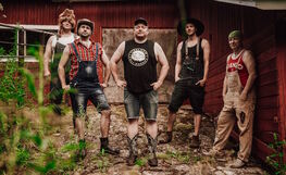 Steve 'n' Seagulls