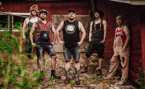 Steve 'n' Seagulls