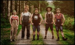 Steve 'n' Seagulls