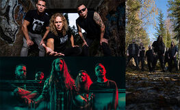 Damage SFP, I Revolt, Verikalpa