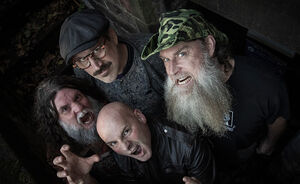 Hayseed Dixie (US)