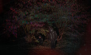 Eevil Stöö - Iso vauva Jeesus 10v