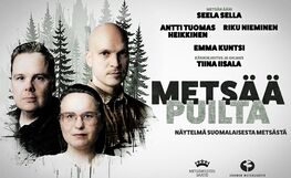 Metsää puilta