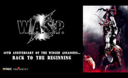 W.A.S.P. (USA)