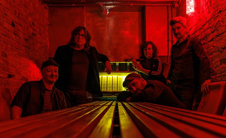The Magnetic Fields (USA) Liput