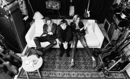 22-Pistepirkko, Drug Dog