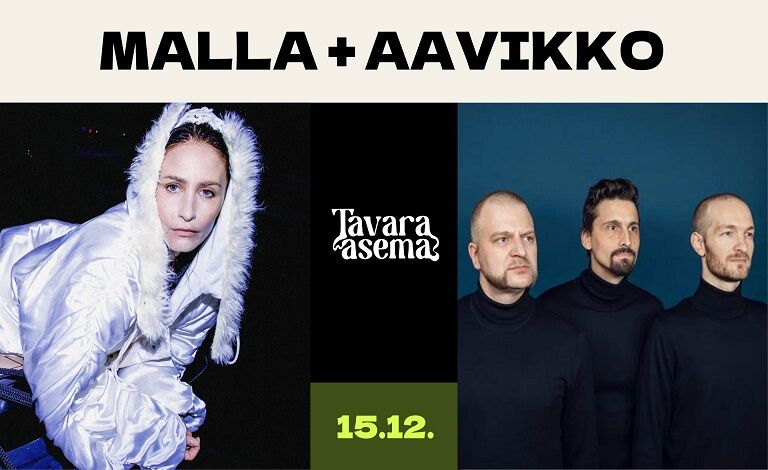 Malla x Aavikko Liput