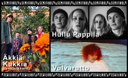 Äkkiä Kukkia (Levyjulkkarit), Hullu Pappila, Vulvarutto