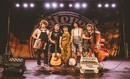 Steve ’n’ Seagulls
