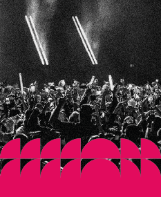 Boksi 1 / Black Week