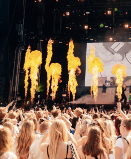 TAKEOVER / Ruisrock